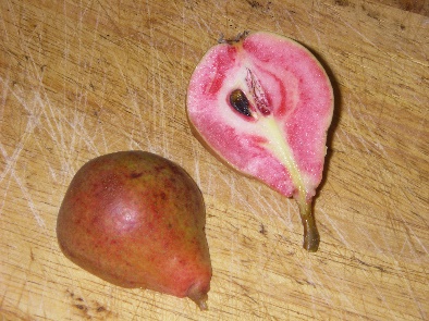 The Blood Pear