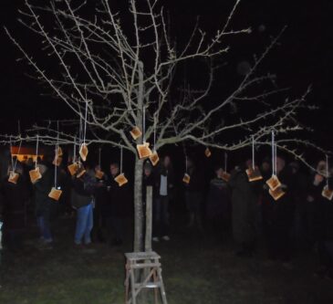 Wassail Toast Tree 2023 1